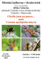 Chytila jsem na pasece... aneb Význam opylujícího hmyzu